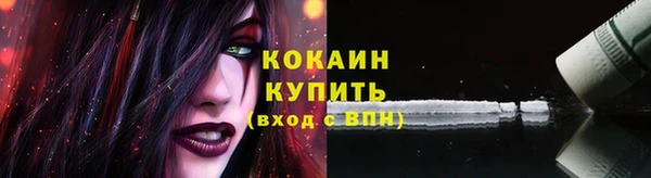 дживик Абинск